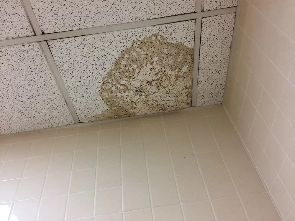 Placa de un falso techo con una gran mancha marrón de agua, sobre una pared alicatada en blanco